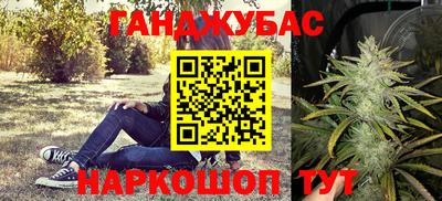 PSILOCYBIN Гусиноозёрск