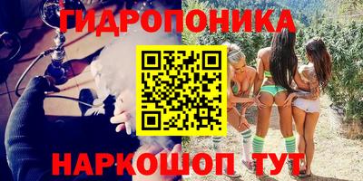 PSILOCYBIN Гусиноозёрск