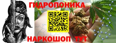 PSILOCYBIN Гусиноозёрск