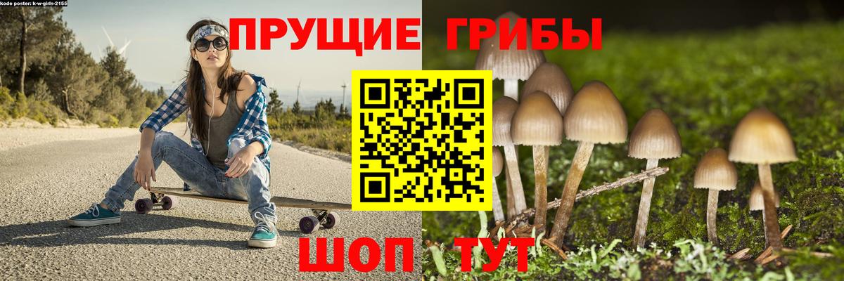 Галлюциногенные грибы прущие грибы Нефтекамск