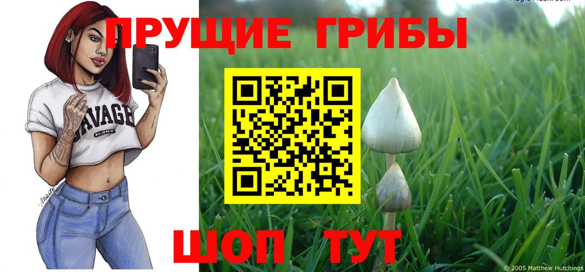 Нефтекамск  где найти наркотики  Вход с VPN  Псилоцибиновые грибы GOLDEN TEACHER 